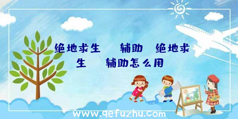「绝地求生baq辅助」|绝地求生max辅助怎么用